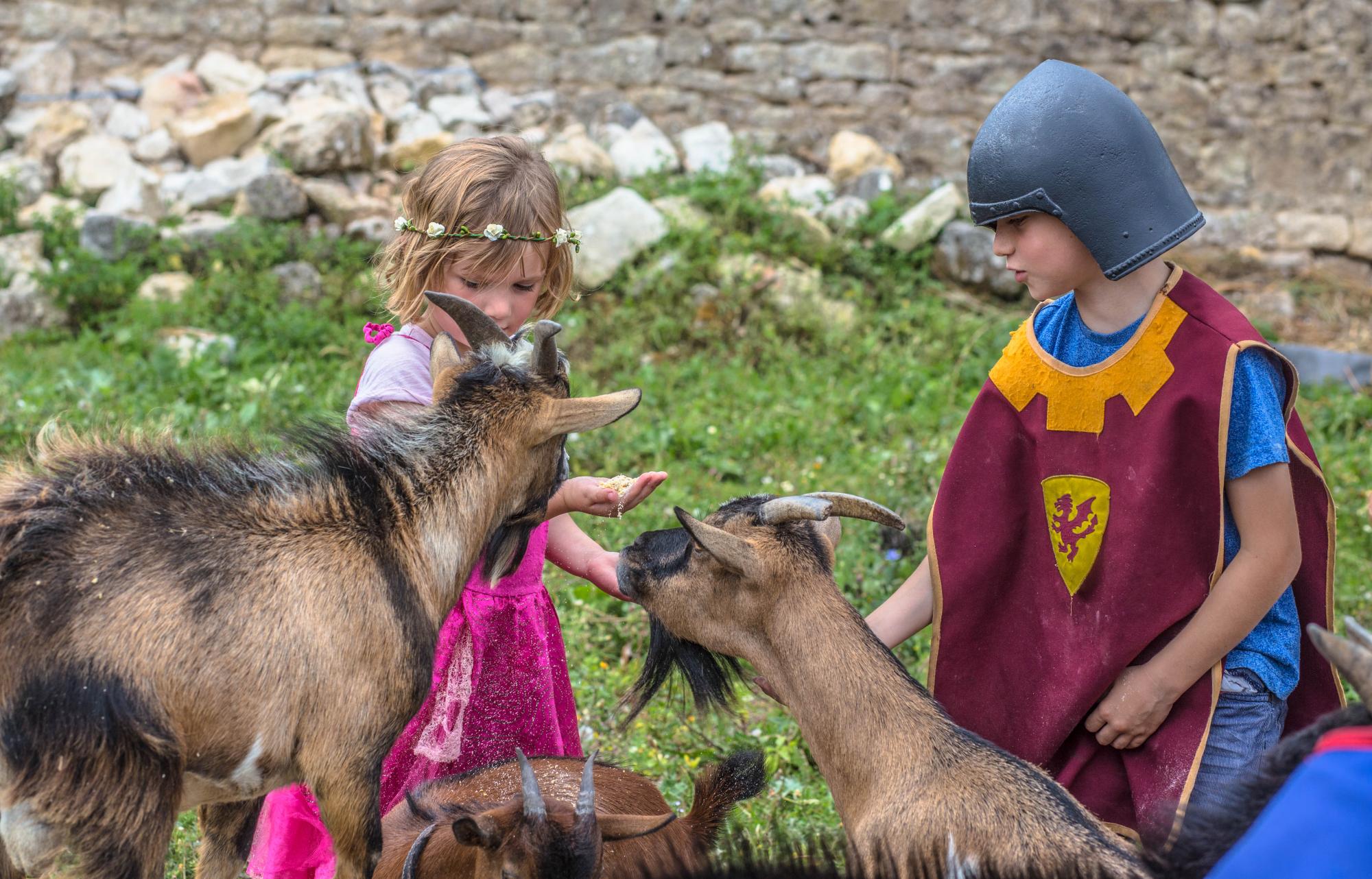 The castle farmyard - Fortified castle and medieval theme park in Charente Maritime